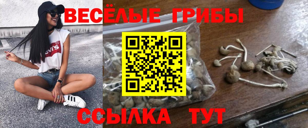 Псилоцибиновые грибы мицелий Октябрьский